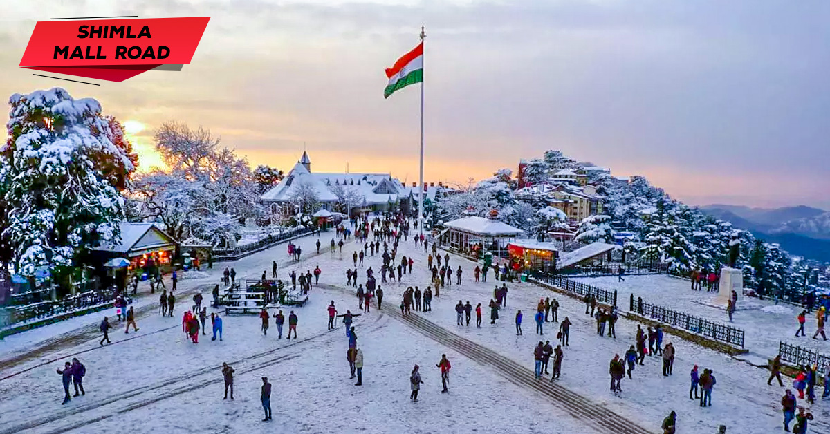 Shimla & Manali