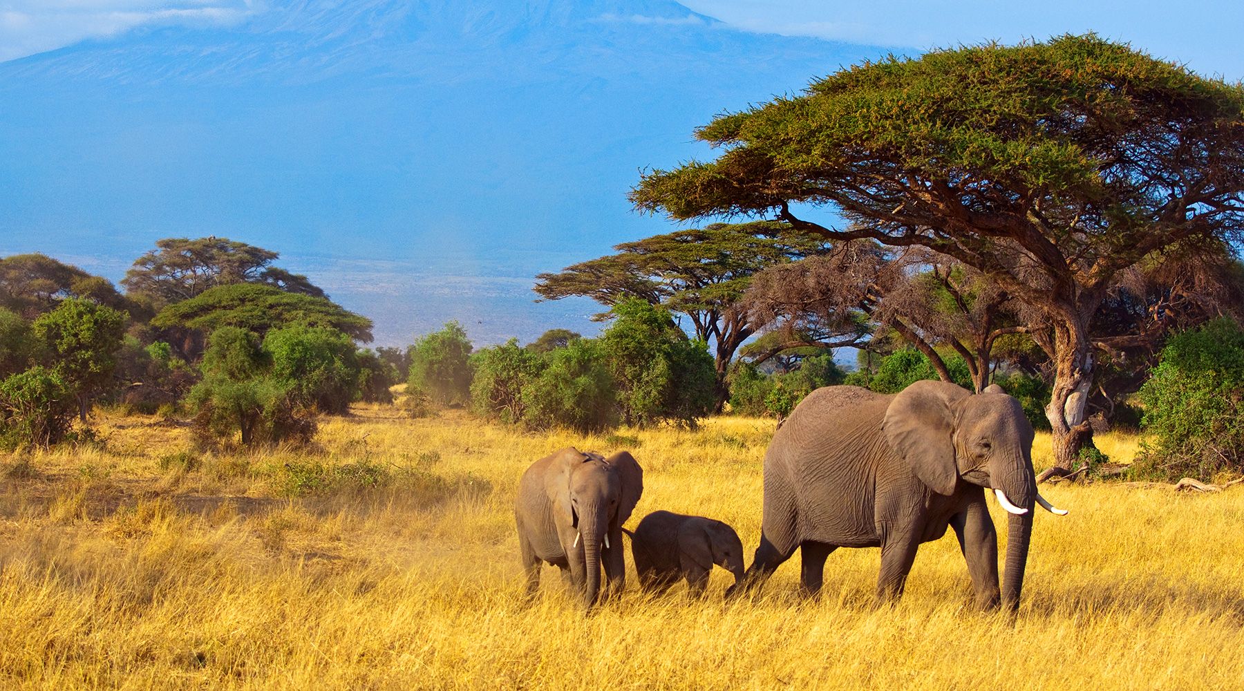 South Africa